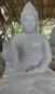 morepic-2